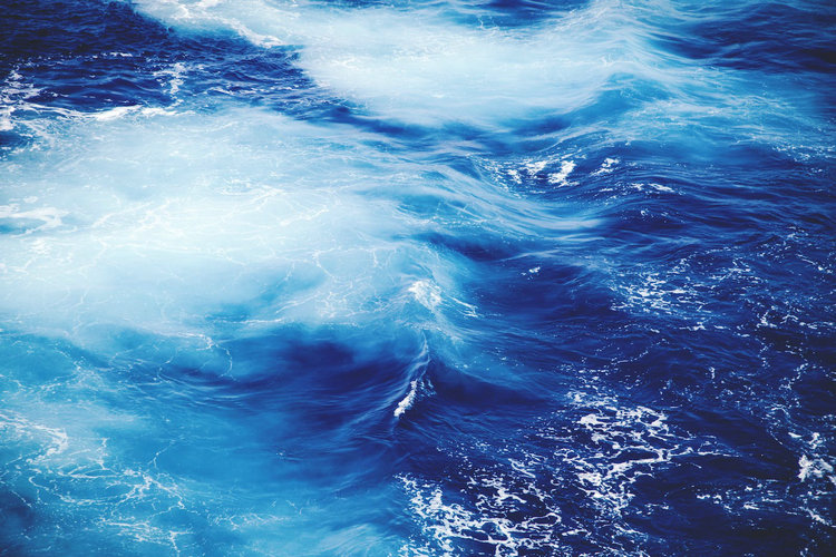 总氮测定仪 总氮测定仪